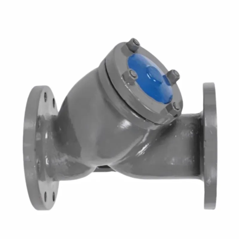 कार्बन स्टील Flanged Y-प्रकार फिल्टर